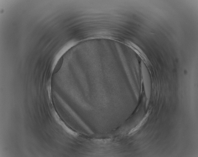 X0000067890812200604271825