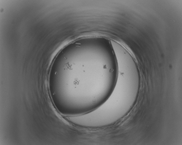 X0000067890813200604271825