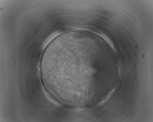 X0000067890814200604271825