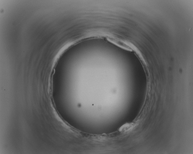 X0000067890815200604271825