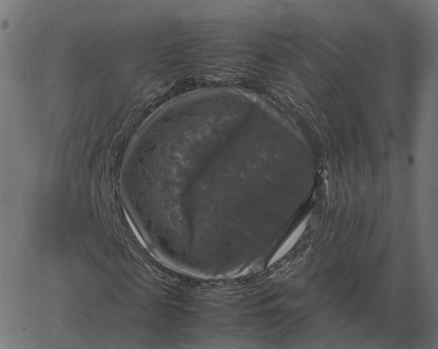 X0000067890817200604271824