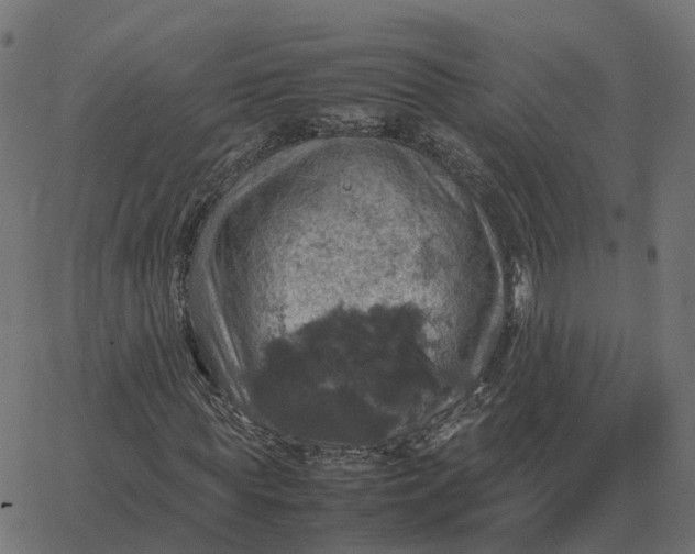 X0000067890819200604271824