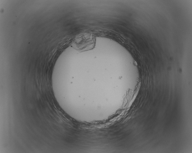 X0000067890820200604271824