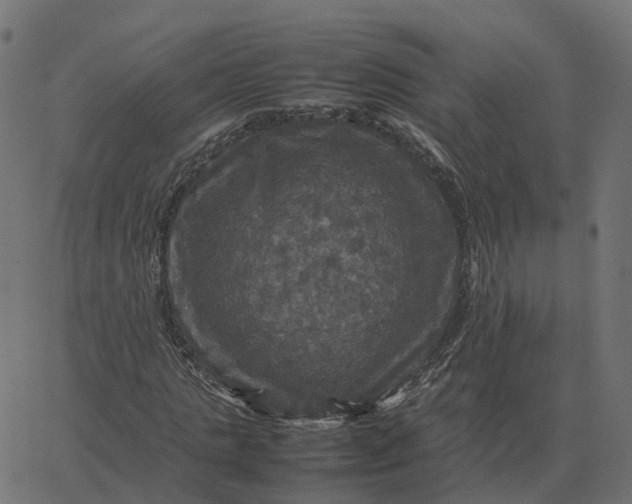 X0000067890821200604271824