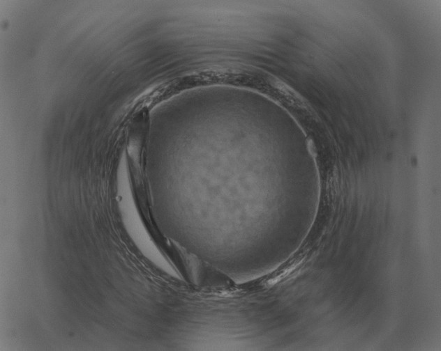 X0000067890822200604271824