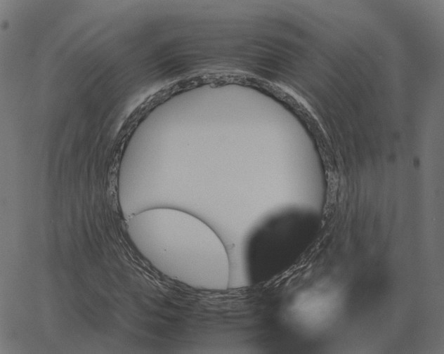 X0000067890823200604271824