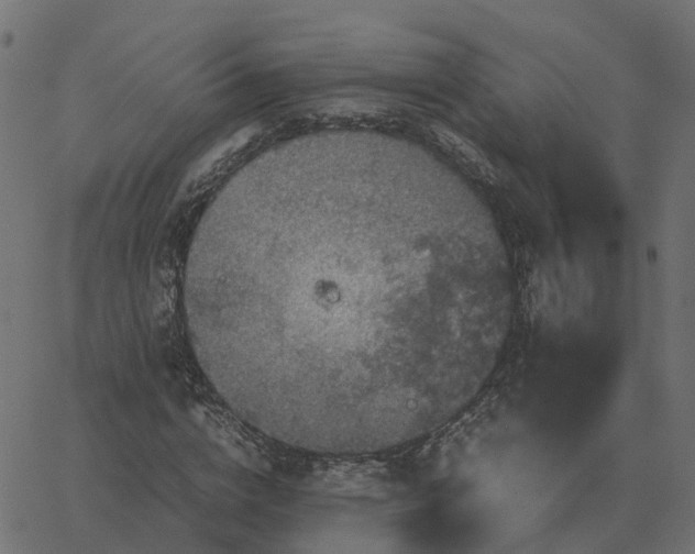 X0000067890824200604271824