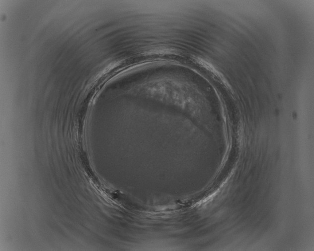 X0000067890825200604271824