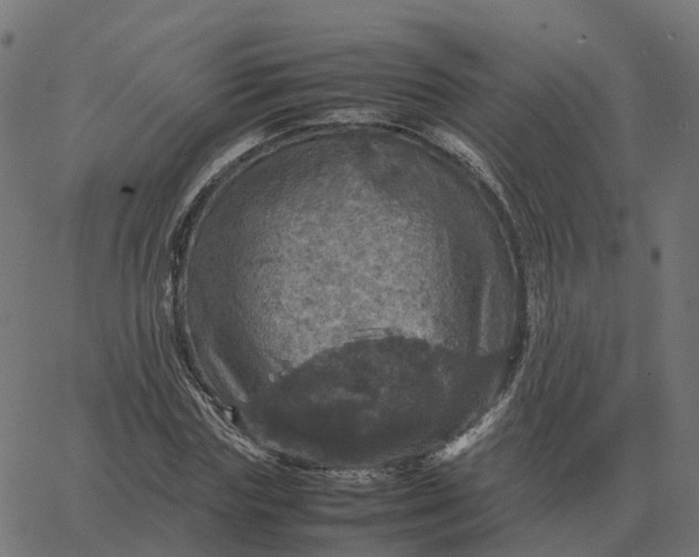 X0000067890827200604271824