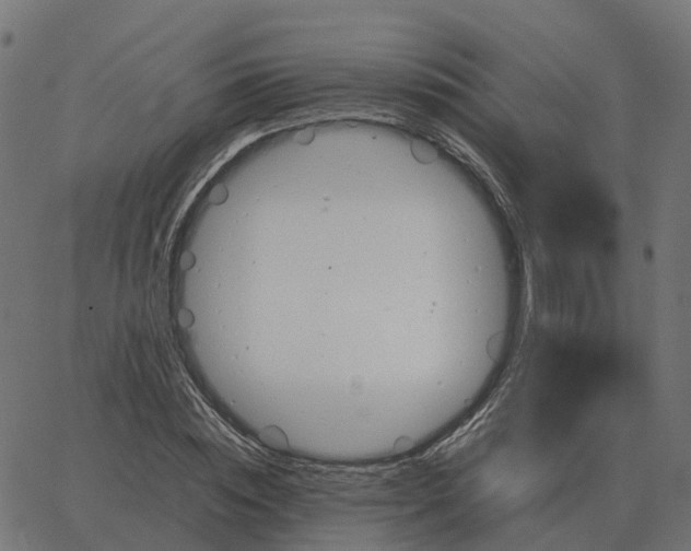 X0000067890828200604271824