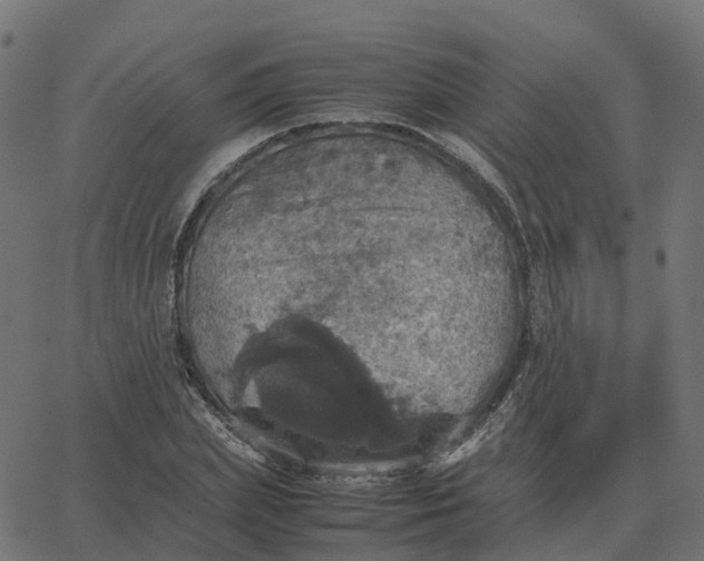 X0000067890831200604271824