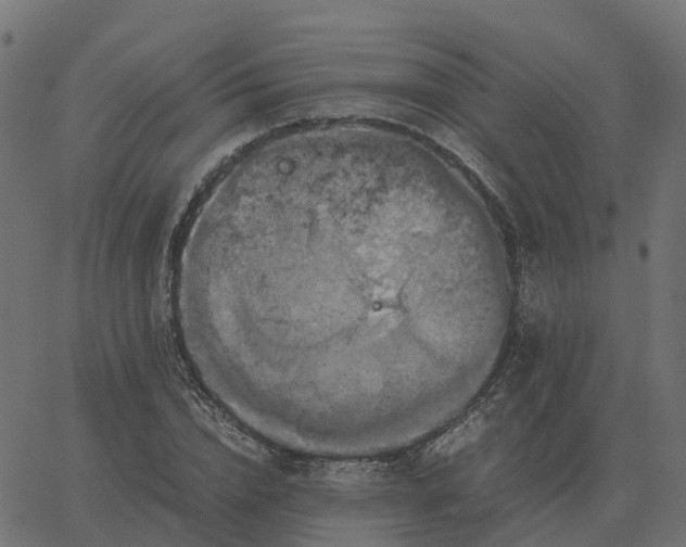 X0000067890832200604271824