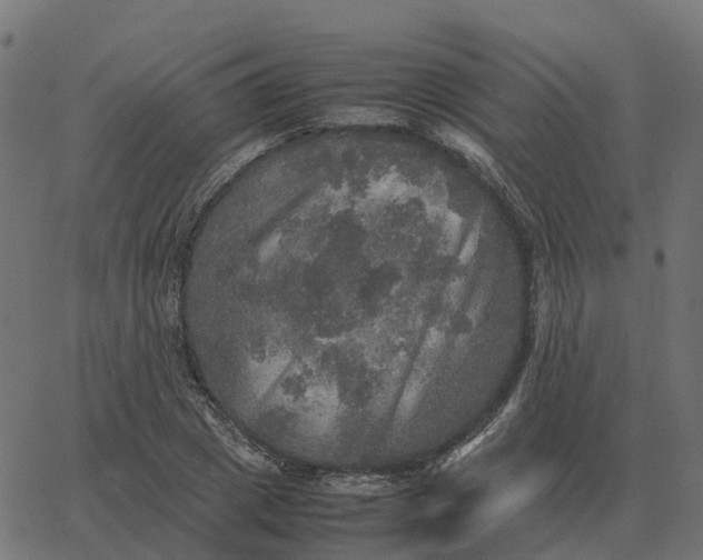 X0000067890833200604271824