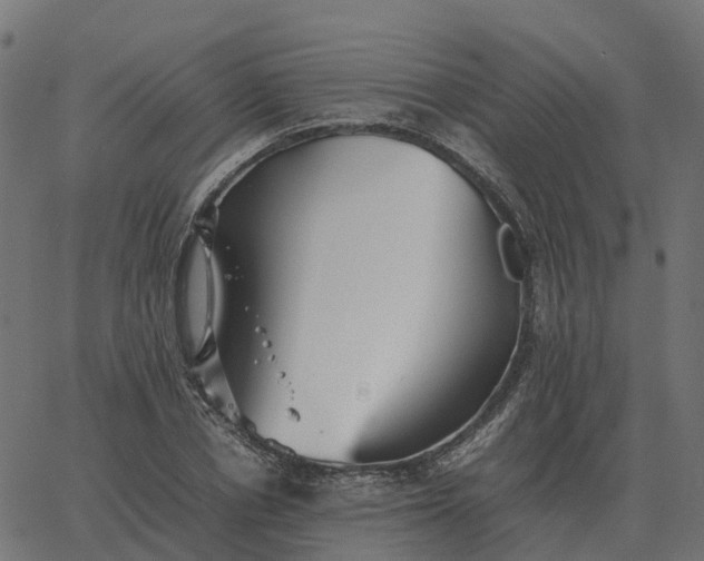 X0000067890834200604271824