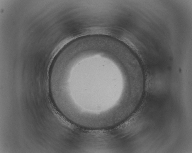 X0000067890836200604271824