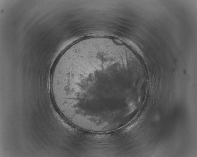 X0000067890839200604271824