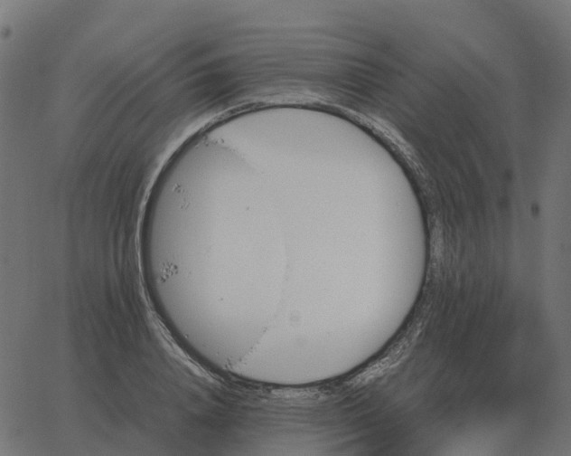 X0000067890840200604271824