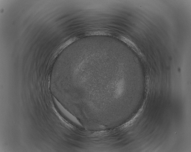 X0000067890841200604271824