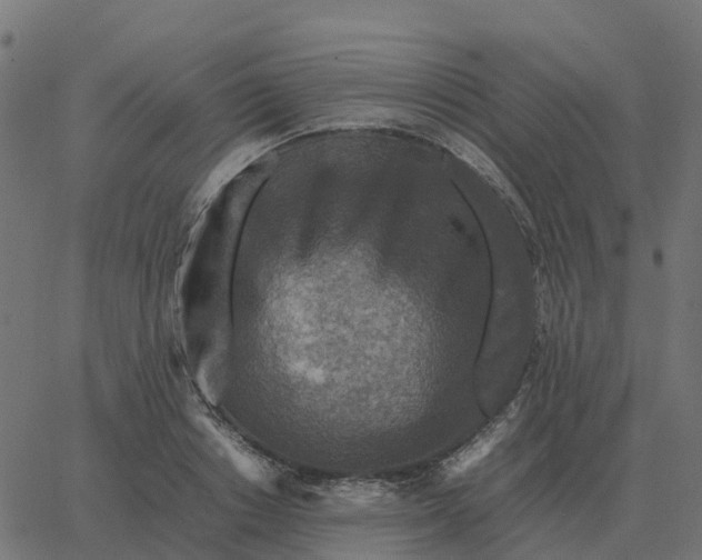 X0000067890842200604271824