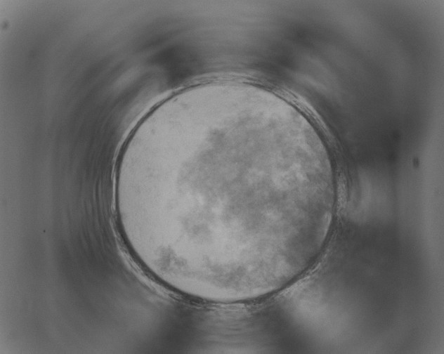 X0000067890844200604271824