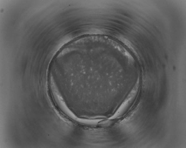 X0000067890845200604271824