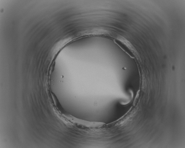 X0000067890850200604271824