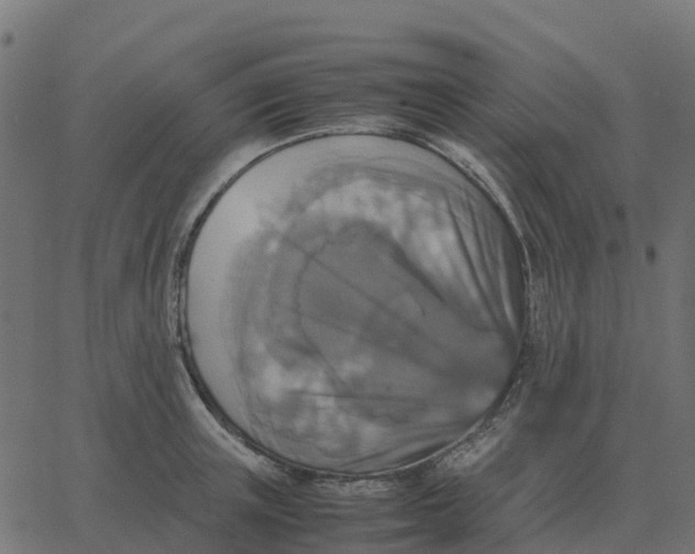 X0000067890851200604271824