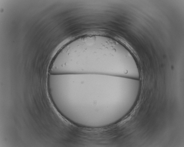 X0000067890853200604271824