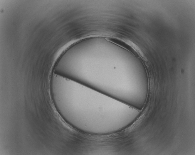 X0000067890854200604271824