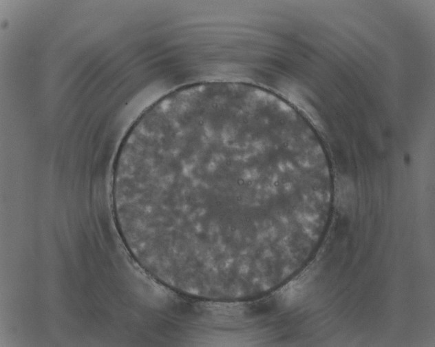 X0000067890856200604271824