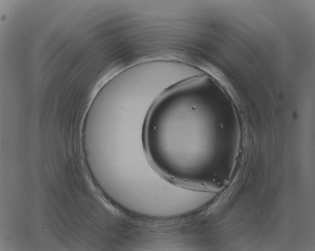 X0000067890858200604271825