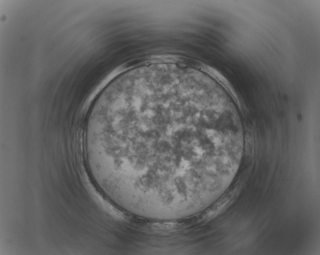 X0000067890859200604271825