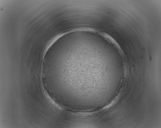 X0000067890860200604271825