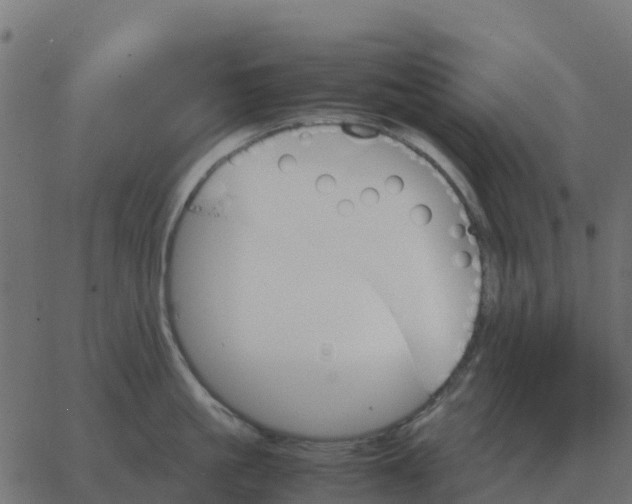 X0000067890861200604271825