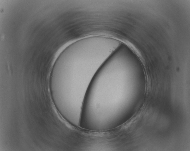 X0000067890862200604271825