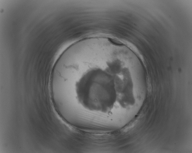 X0000067890863200604271825