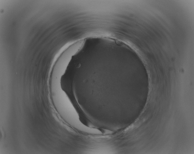 X0000067890864200604271825