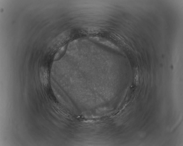 X0000067890866200604271824