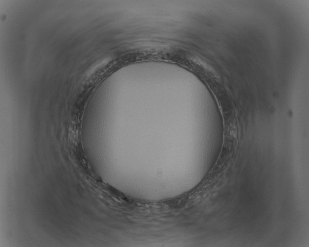 X0000067890869200604271824