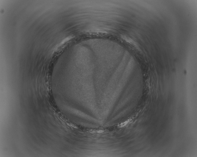 X0000067890870200604271824