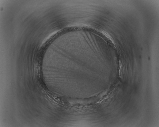 X0000067890872200604271824