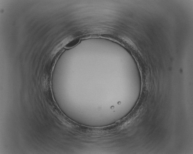 X0000067890873200604271824