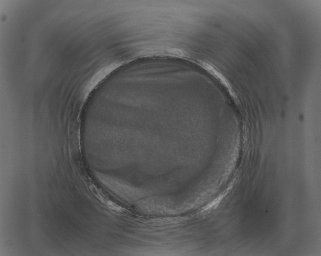 X0000067890877200604271824