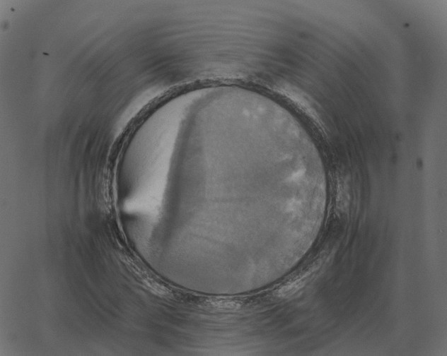 X0000067890878200604271824