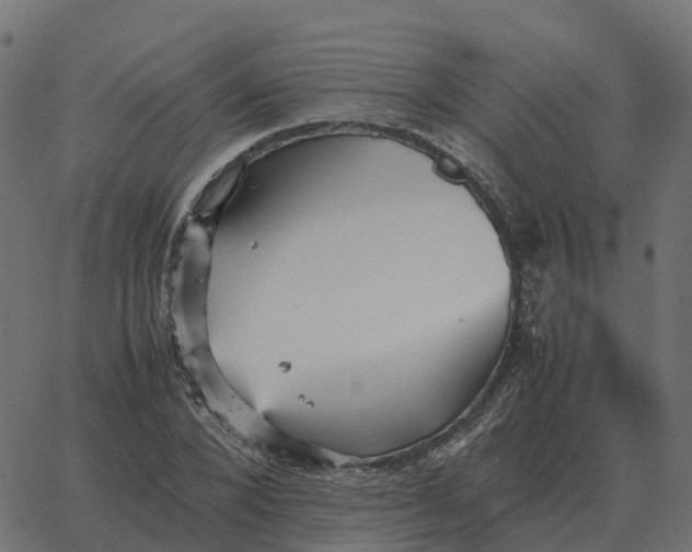 X0000067890880200604271824