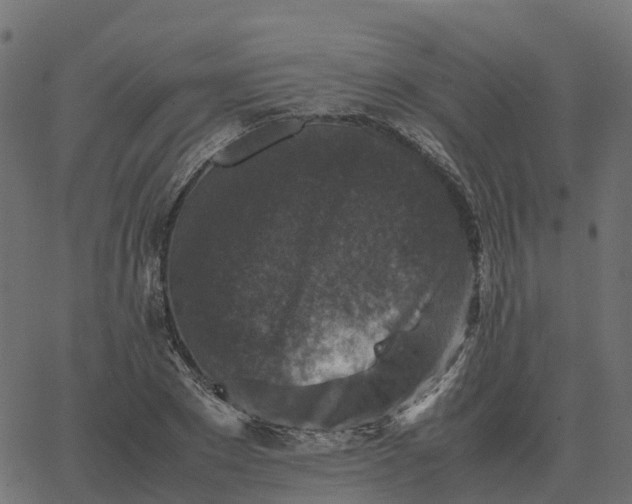 X0000067890881200604271824