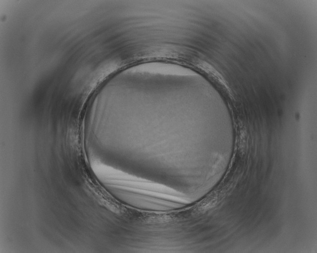 X0000067890882200604271824