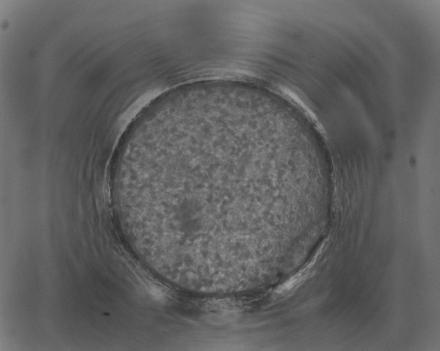 X0000067890883200604271824