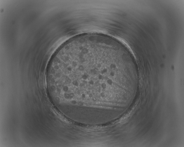 X0000067890887200604271823