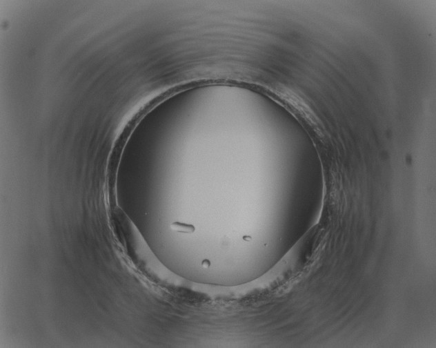 X0000067890888200604271823